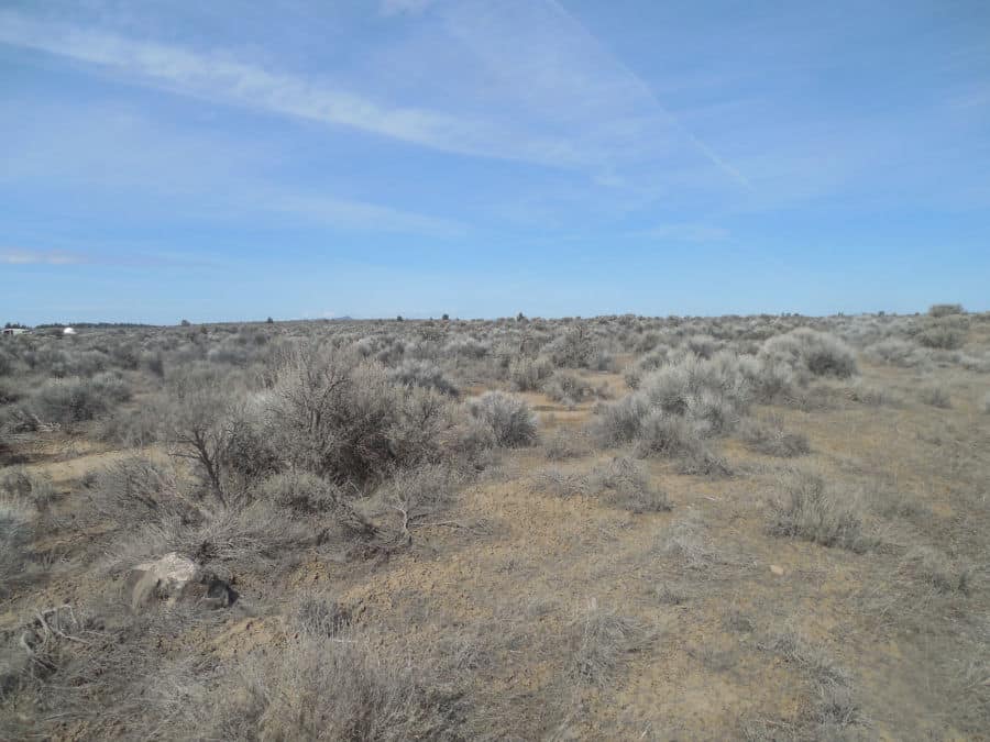 4-Acres-For-Sale-Christmas-Valley-OR-Millican-Road-Lot-1700-22