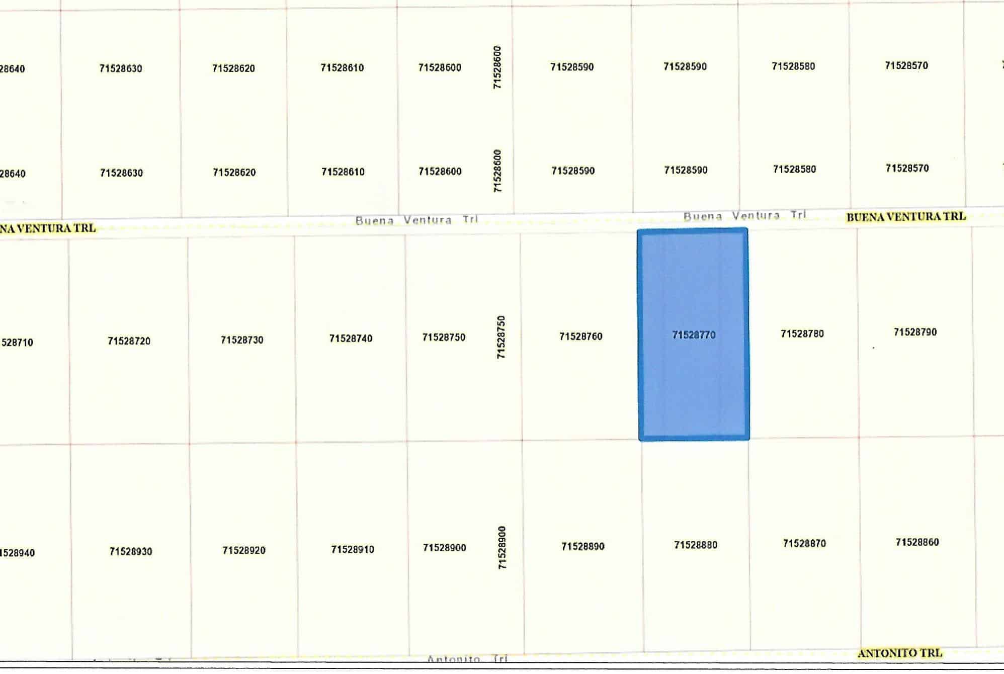 5-Acres-On-Buena-Ventura-Road-RGR-Lot-10-Tax-Map-Scan