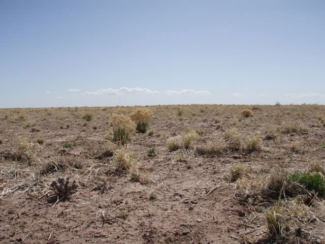 Navajo-County-19