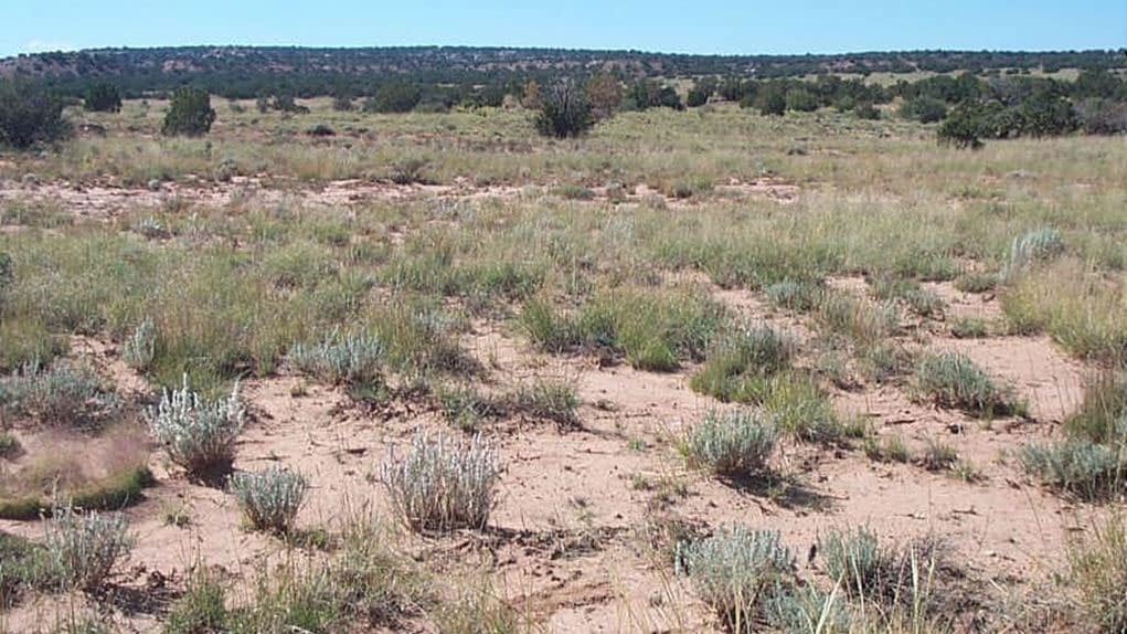 Navajo-County-2